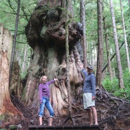 Avatar Grove, Port Renfrew BC