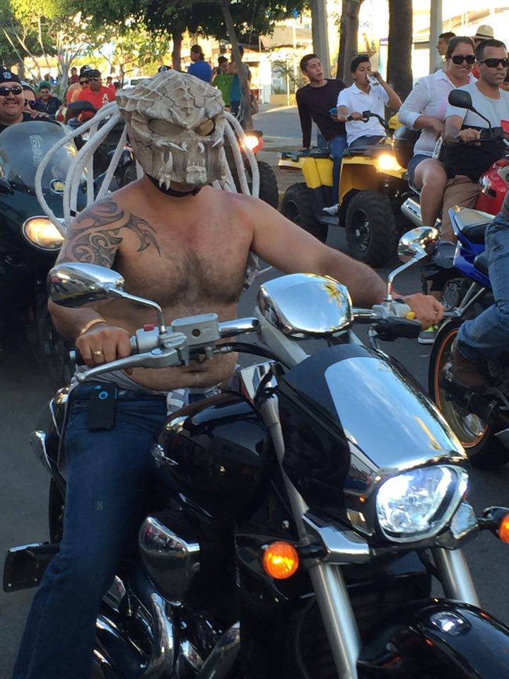 12935227_10154054300417068_1348108767_n