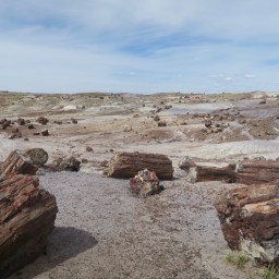 Petrified Forest National Park
