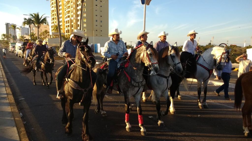 IMG_20170228_173522535_BURST000_COVER (1)