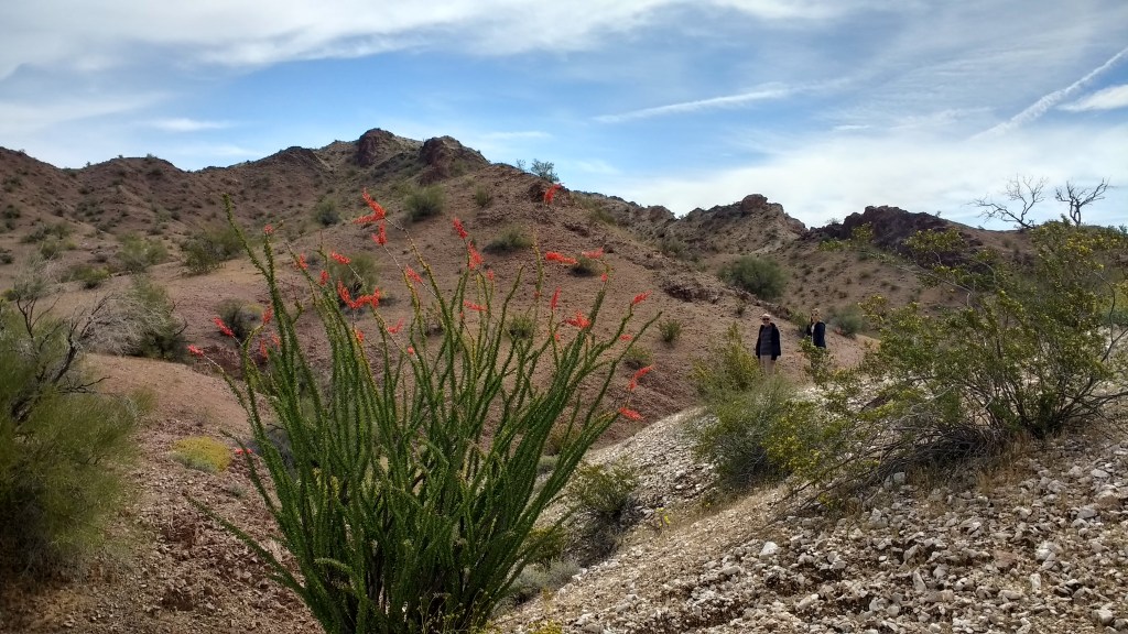 IMG_20170409_101520868_HDR