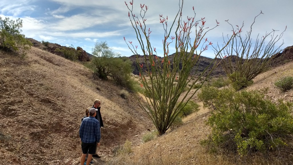 IMG_20170409_101747294_HDR