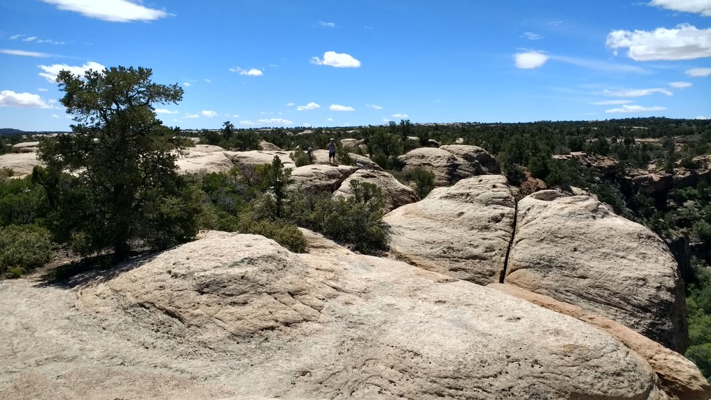 IMG_20170418_132415977_HDR