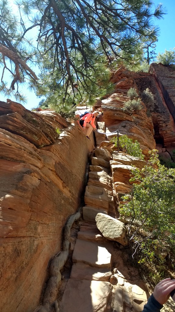 IMG_20170421_114449736_HDR