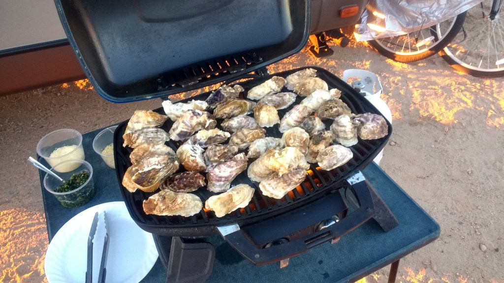 IMG_20171114_172837069_HDR