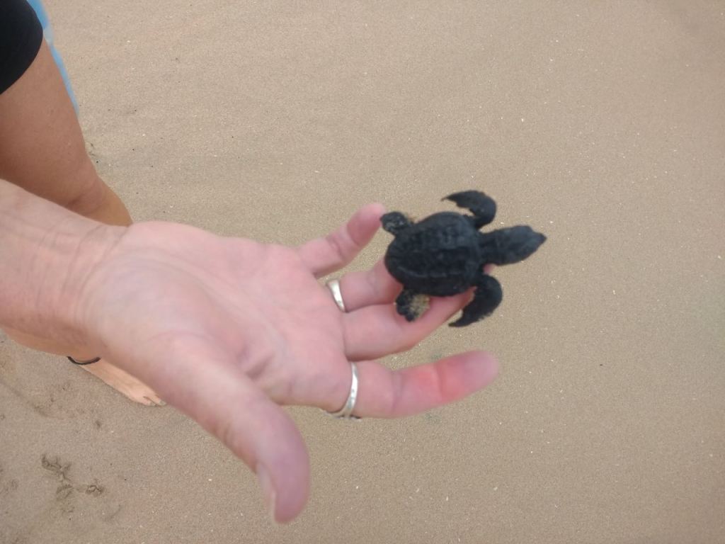 IMG_20171213_074017324_HDR