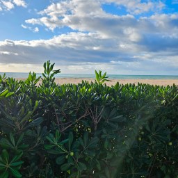 2024 Valencia, Spain